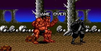 Mystical Fighter Genesis Screenshot