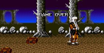 Mystical Fighter Genesis Screenshot