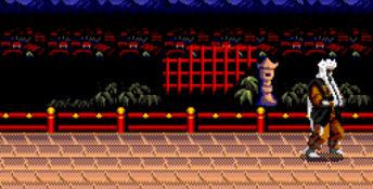 Mystical Fighter Genesis Screenshot