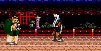 Mystical Fighter Genesis Screenshot