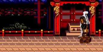 Mystical Fighter Genesis Screenshot