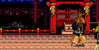 Mystical Fighter Genesis Screenshot