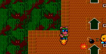 New Zealand Story Genesis Screenshot