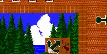 New Zealand Story Genesis Screenshot