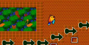 New Zealand Story Genesis Screenshot