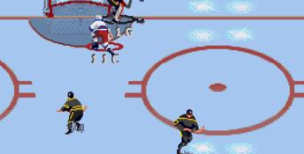 NHL All-Star Hockey 95