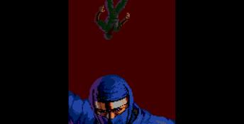 Ninja Gaiden Genesis Screenshot