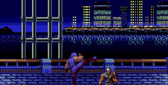 Ninja Gaiden Genesis Screenshot