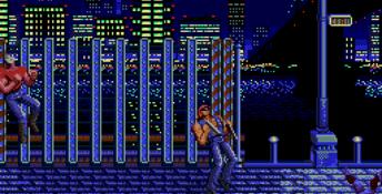 Ninja Gaiden Genesis Screenshot