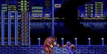 Ninja Gaiden Genesis Screenshot