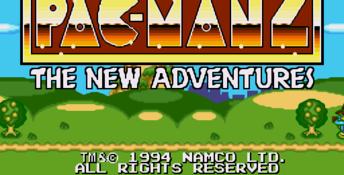 Pac-Man 2: The New Adventures