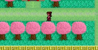 Pachinko Canyon Genesis Screenshot