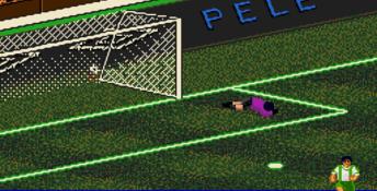 Pele's World Tournament Soccer