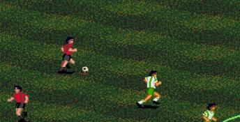 Pele's World Tournament Soccer