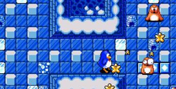 Pengo (1995) Genesis Screenshot