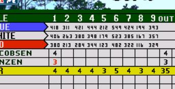 PGA Tour 96 Genesis Screenshot