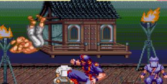 Power Instinct Genesis Screenshot