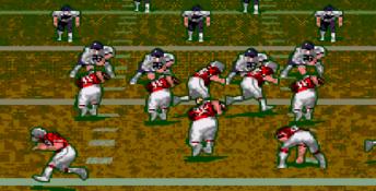 Pro Quarterback