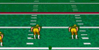 Pro Quarterback Genesis Screenshot