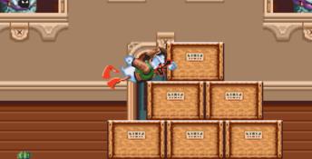 QuackShot Starring Donald Duck Genesis Screenshot