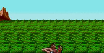 Rastan Saga 2 Genesis Screenshot