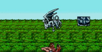 Rastan Saga 2 Genesis Screenshot