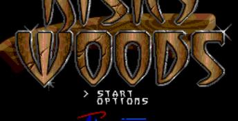 Risky Woods Genesis Screenshot