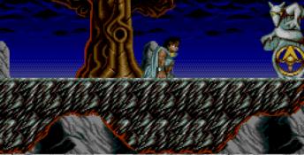 Risky Woods Genesis Screenshot