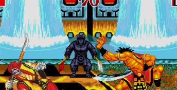 Samurai Shodown Genesis Screenshot