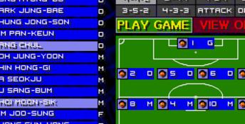 Sensible Soccer: International Edition