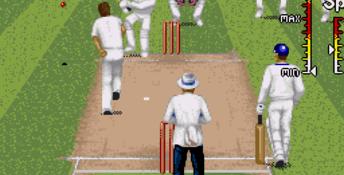 Shane Warne Cricket
