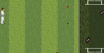 Shane Warne Cricket