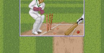 Shane Warne Cricket Genesis Screenshot