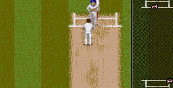 Shane Warne Cricket Genesis Screenshot