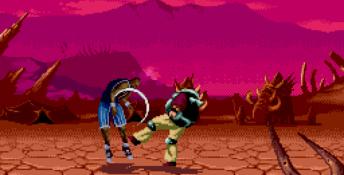 Shaq Fu