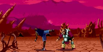 Shaq Fu