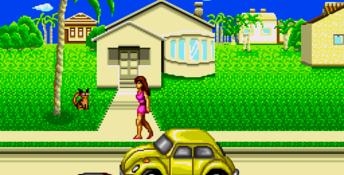 Sokoban Genesis Screenshot