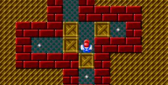 Sokoban Genesis Screenshot