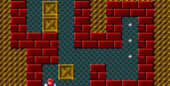 Sokoban Genesis Screenshot