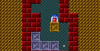 Sokoban Genesis Screenshot