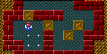 Sokoban Genesis Screenshot