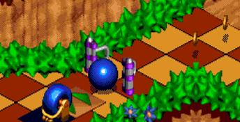 Sonic 3D Blast Genesis Screenshot