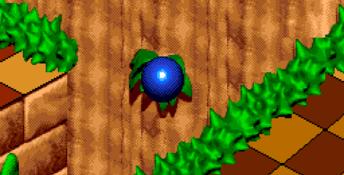 Sonic 3D Blast Genesis Screenshot