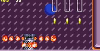 Sonic and Knuckles & Sonic 3 Genesis Screenshot
