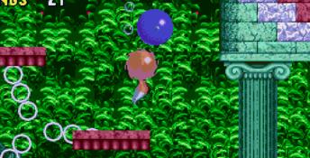 Sonic Compilation