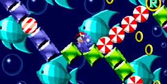 Sonic Special Stages Genesis Screenshot