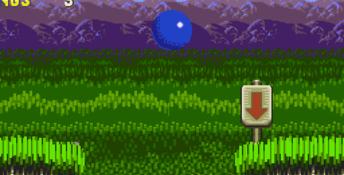 Sonic the Hedgehog 3 Genesis Screenshot