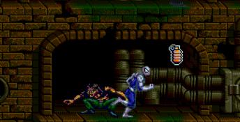 Spider-Man: The Animated Series Genesis Screenshot