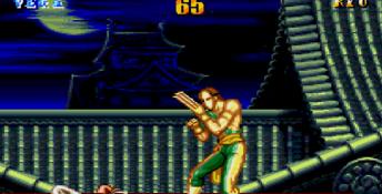 Street Fighter 2 Special Champion Edition Genesis Screenshot