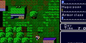 Super Hydlide Genesis Screenshot